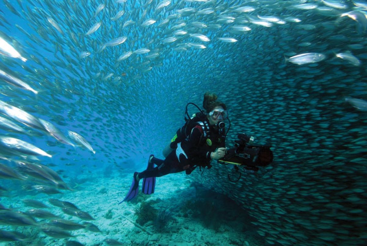 Dykkeferie på Bonaire