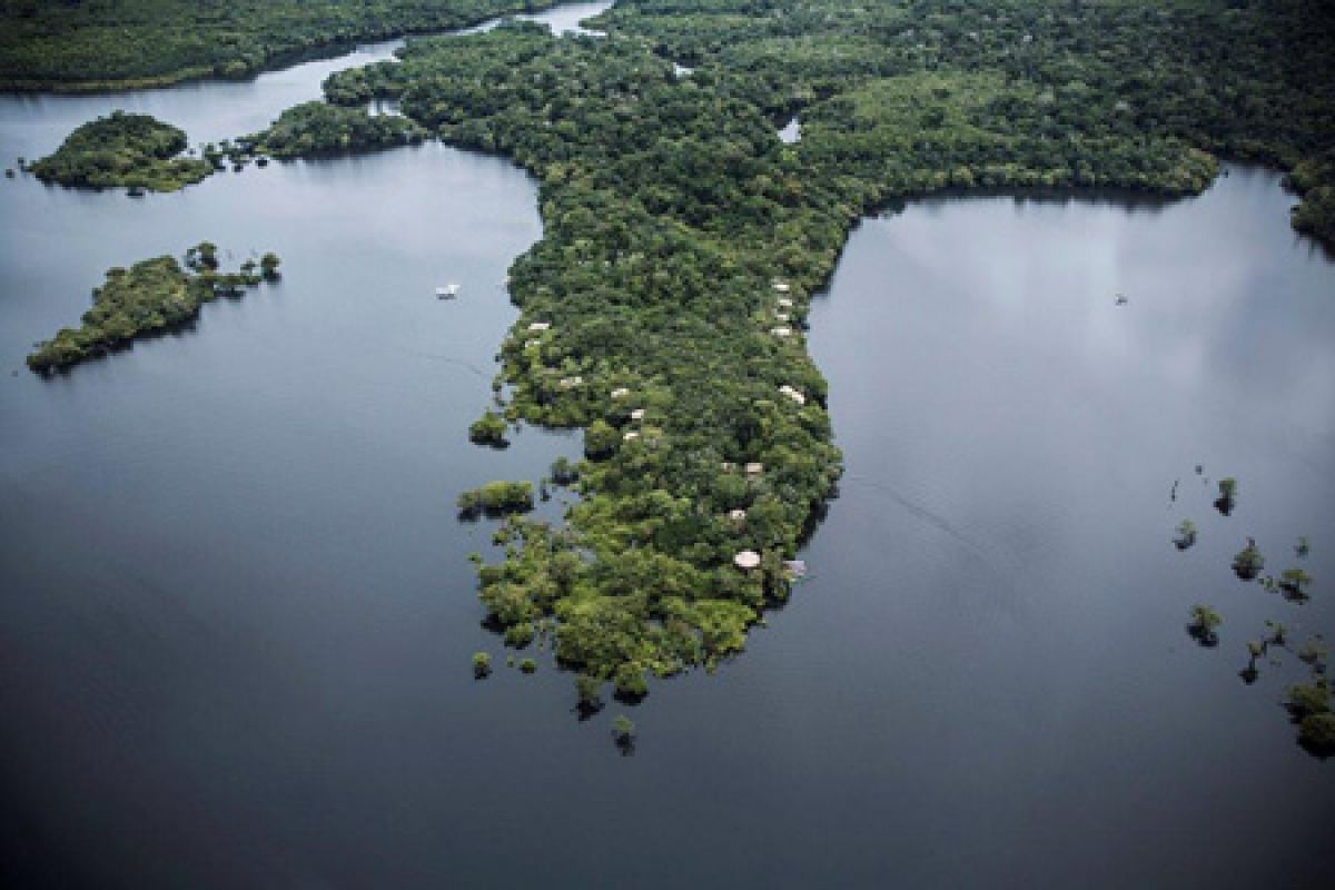 Garca Real Amazonas